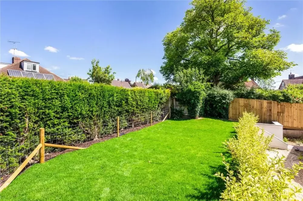 The garden: a lawn with a tall hedge and a large tree